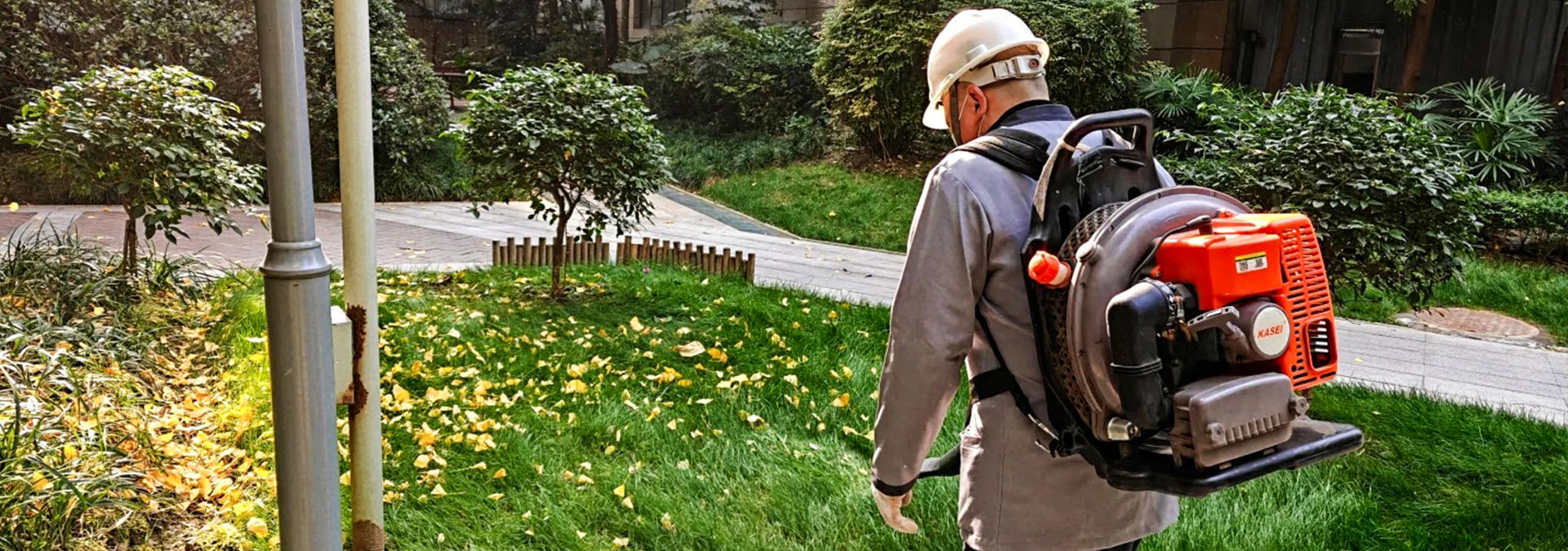 四季常青的背后,是我们365天的守护