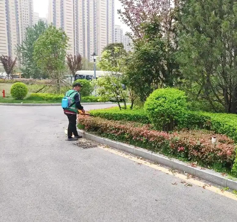 如何做好绿化工程后期的养护