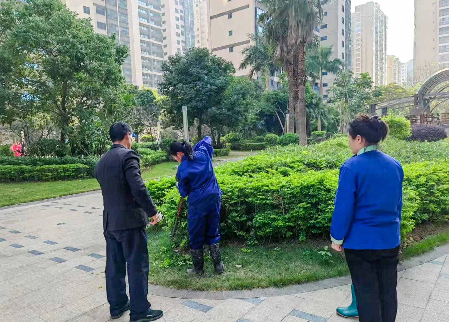 绿化养护