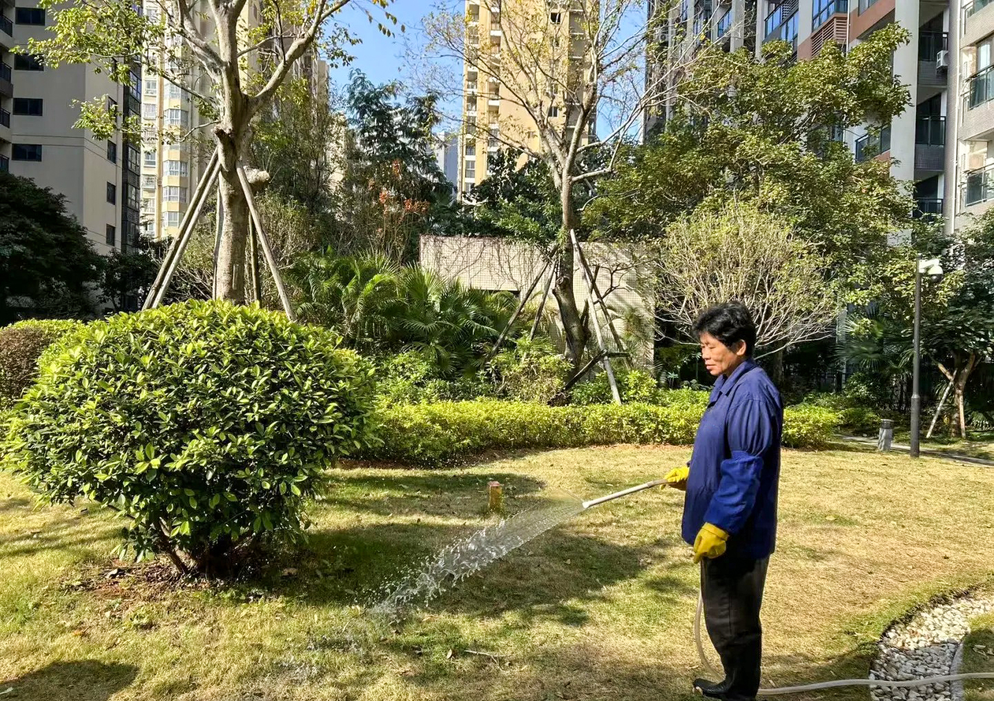 绿化养护