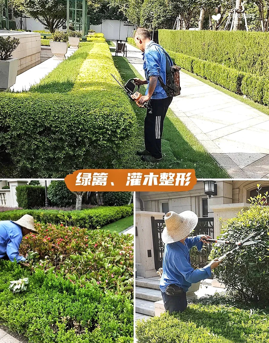 绿化养护