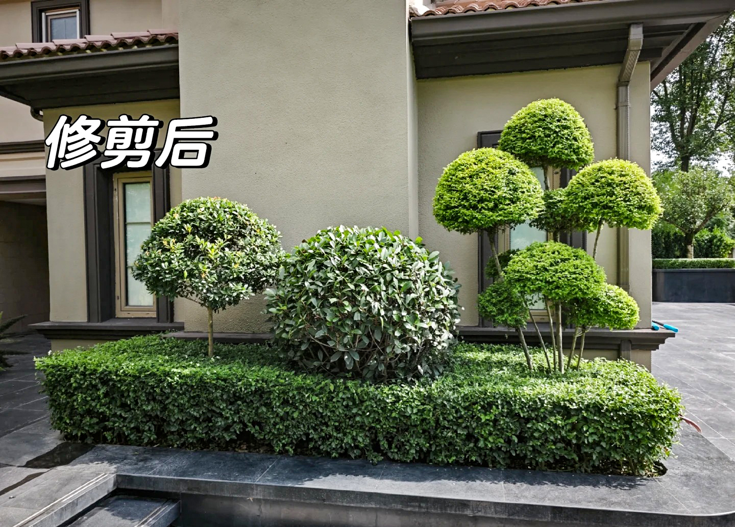 绿化养护