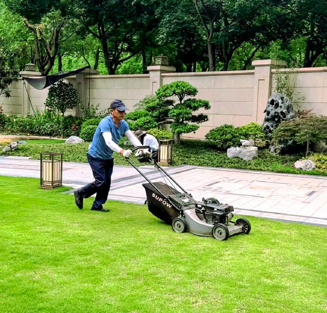 绿化养护